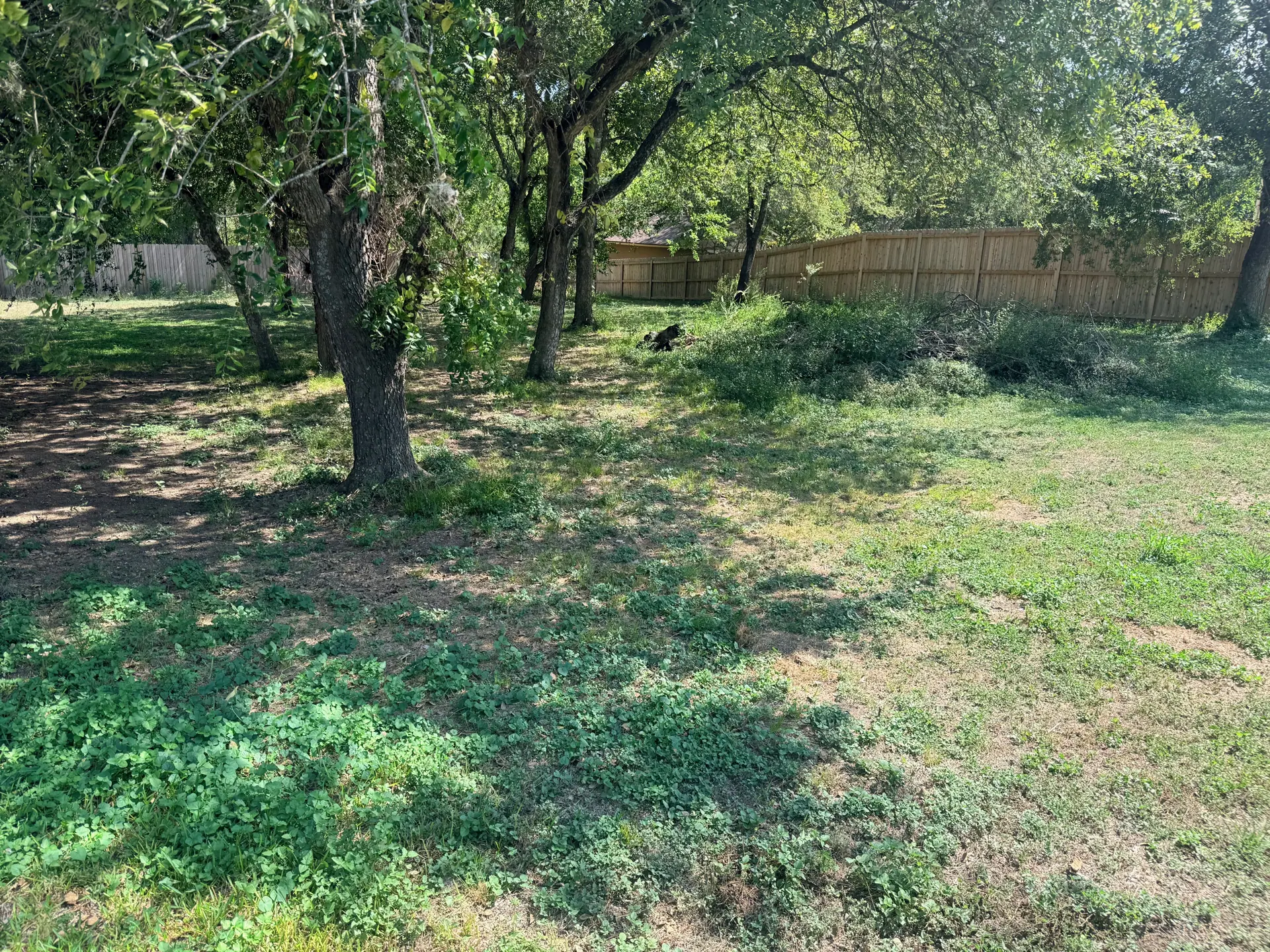 A closer look at the trees and natural shade on the property.