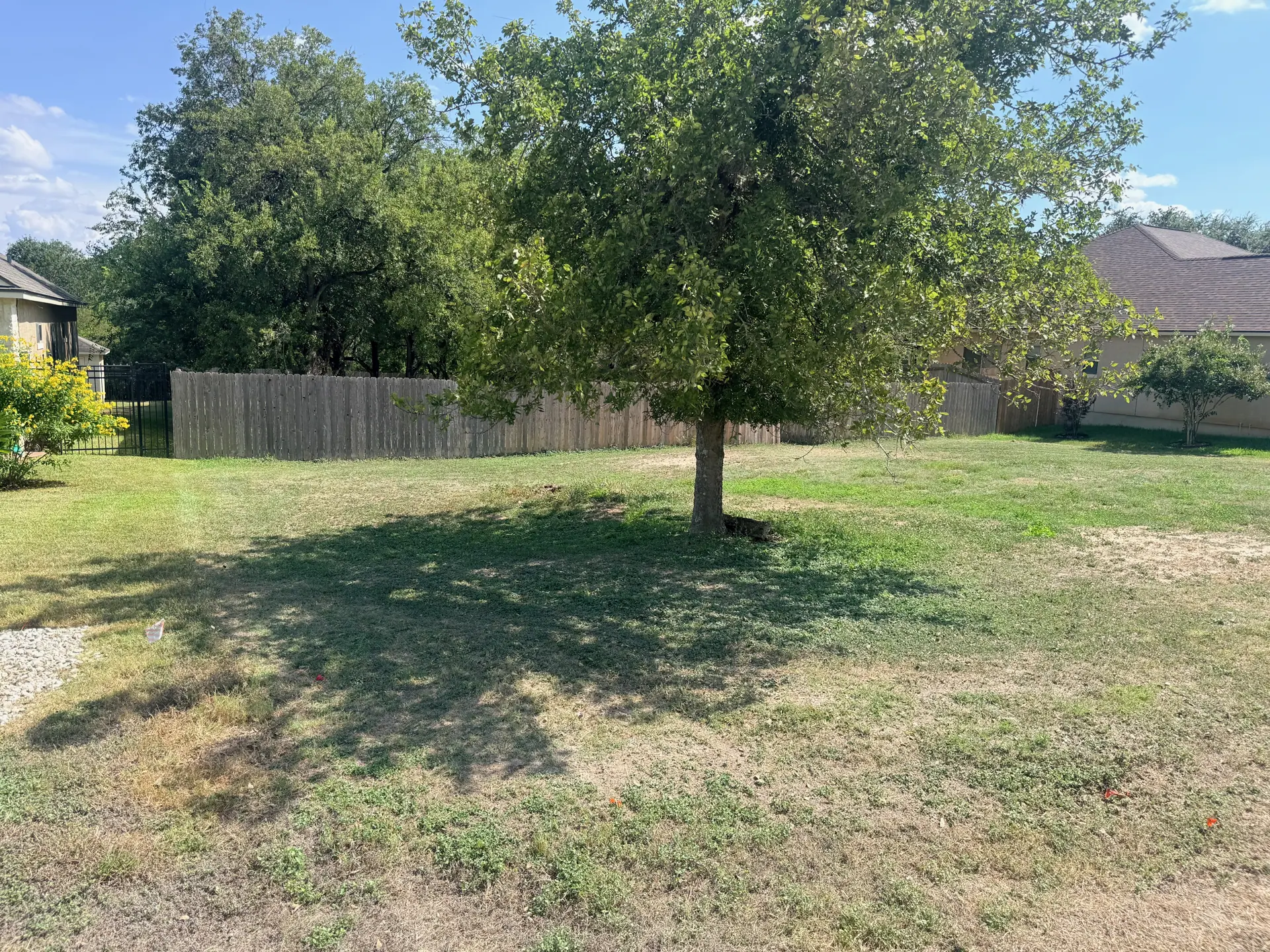 Trees, open lawn, and the surrounding neighborhood.