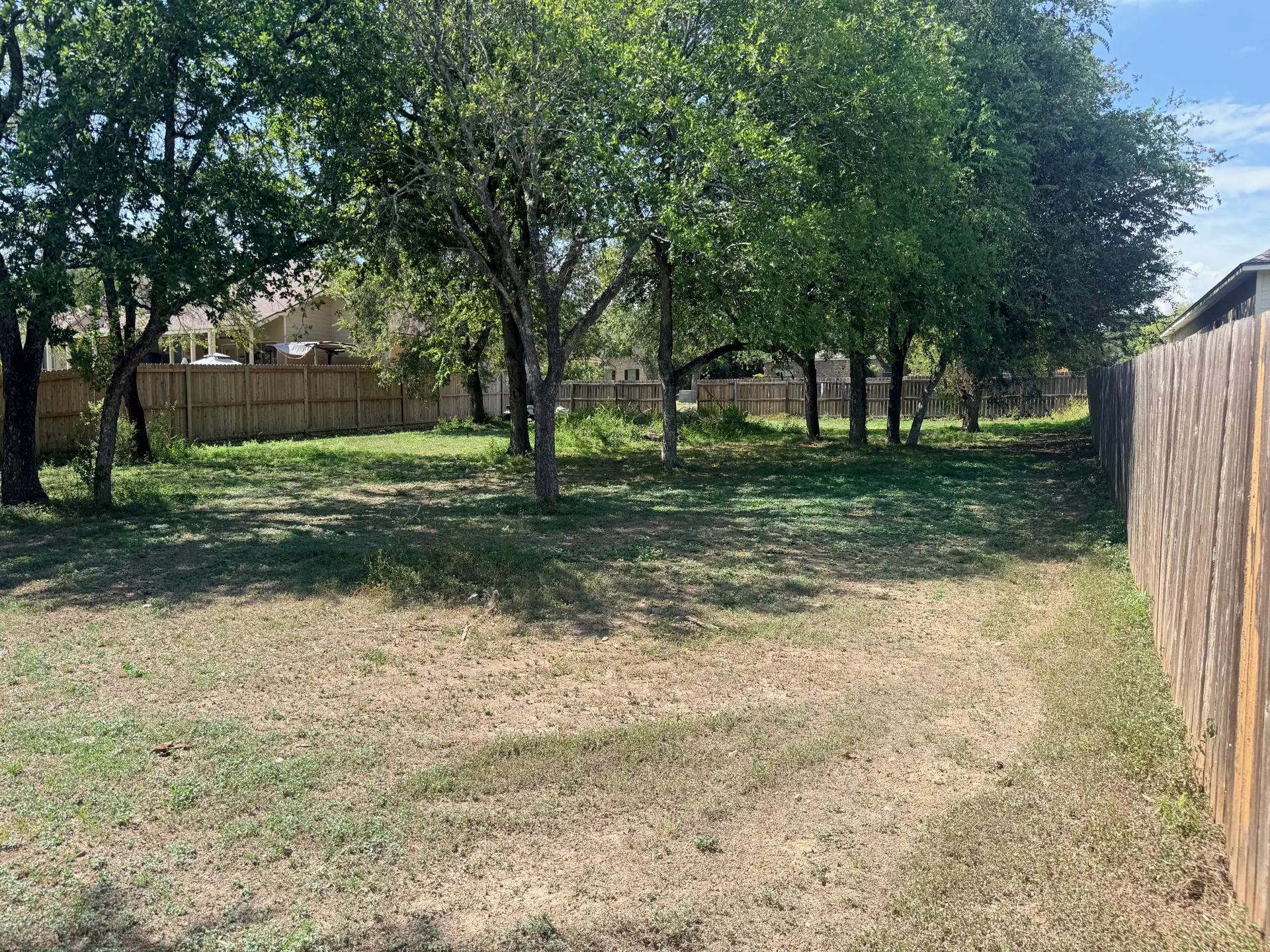 Mature trees and open lawn within the fenced lot at 2026 Persimmon Drive